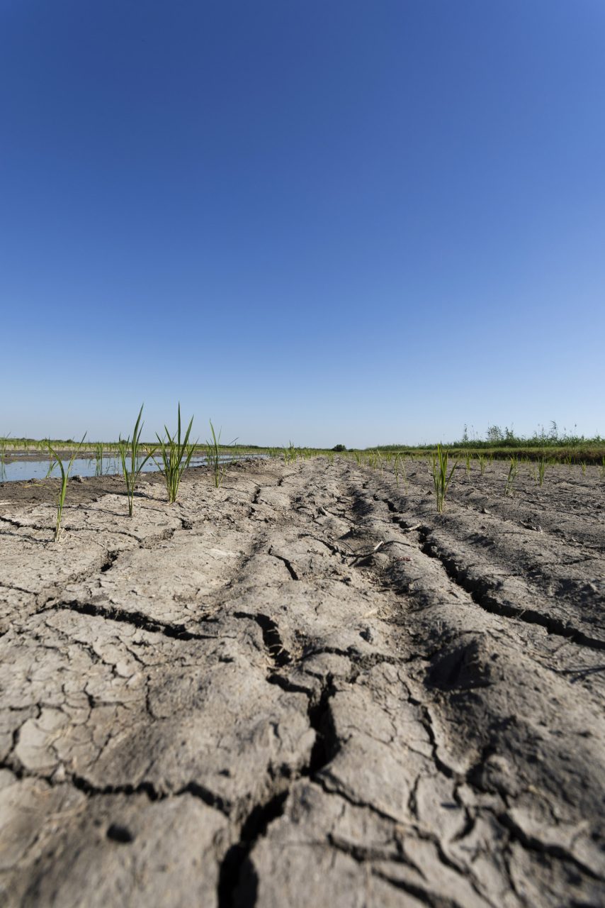 Terre agricole asséché sur fond de ciel bleu azur